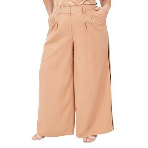NWOT Lane Bryant Front Pleat Side Stripe Tan Wide Leg Pants 24
